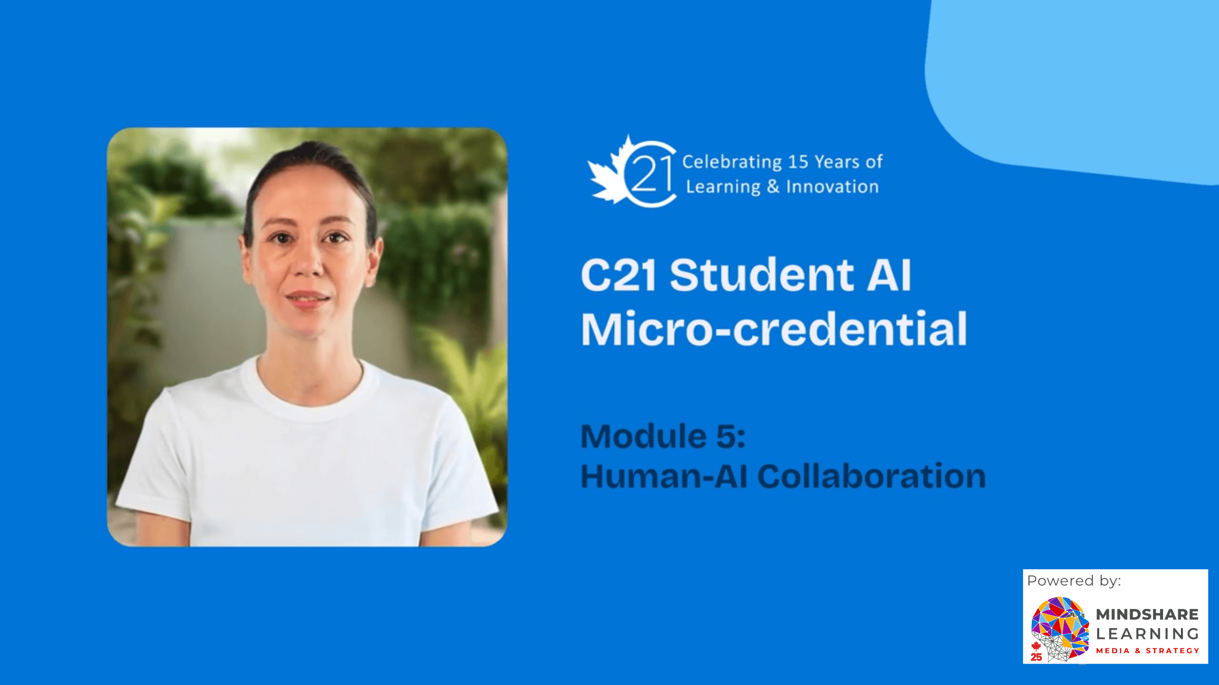 Module 5 - Human-AI Collaboration